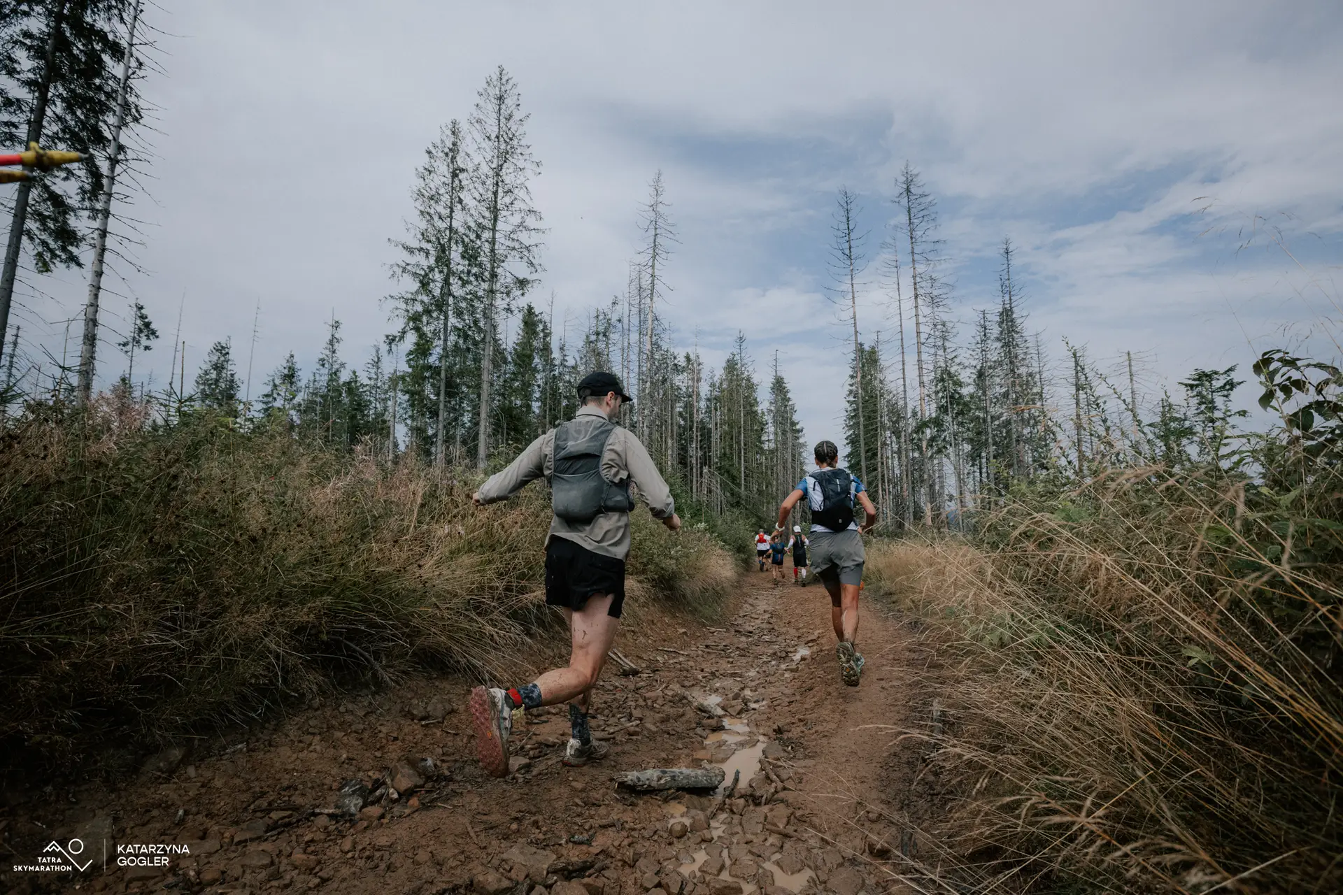 Nike Ultrafly na trasie Tatra Trail